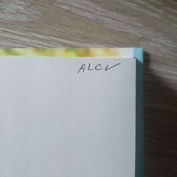 The Summer Getaway by Susan Mallery - Picture 11 of 12